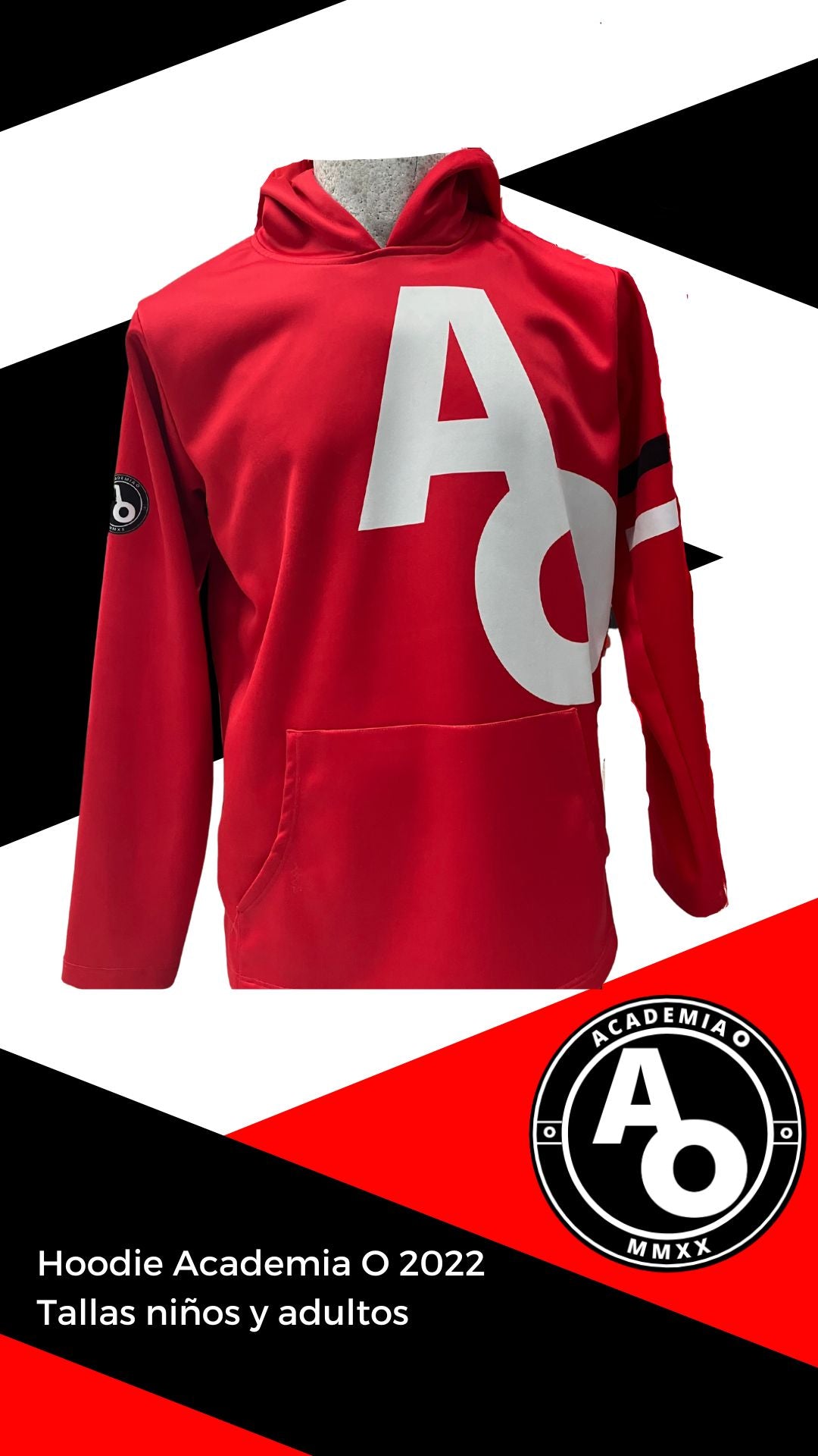 PEDIDOS ABIERTOS Hoodie AO 2023