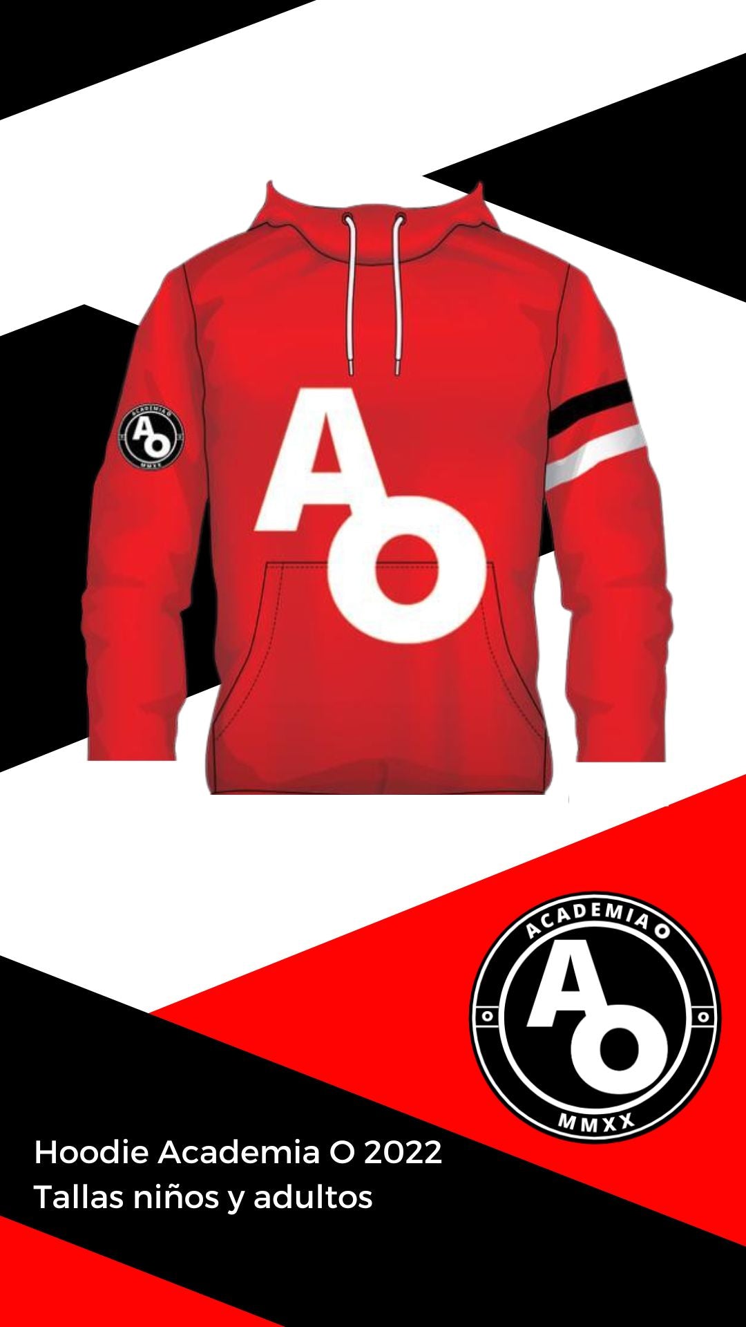 PEDIDOS ABIERTOS Hoodie AO 2023