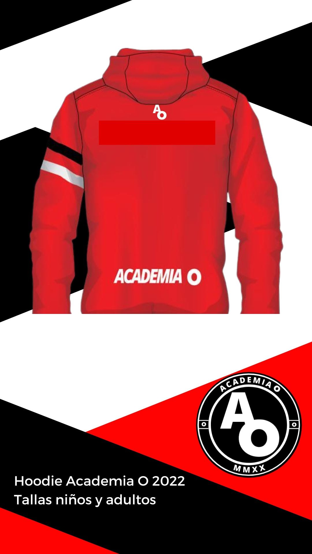 PEDIDOS ABIERTOS Hoodie AO 2023