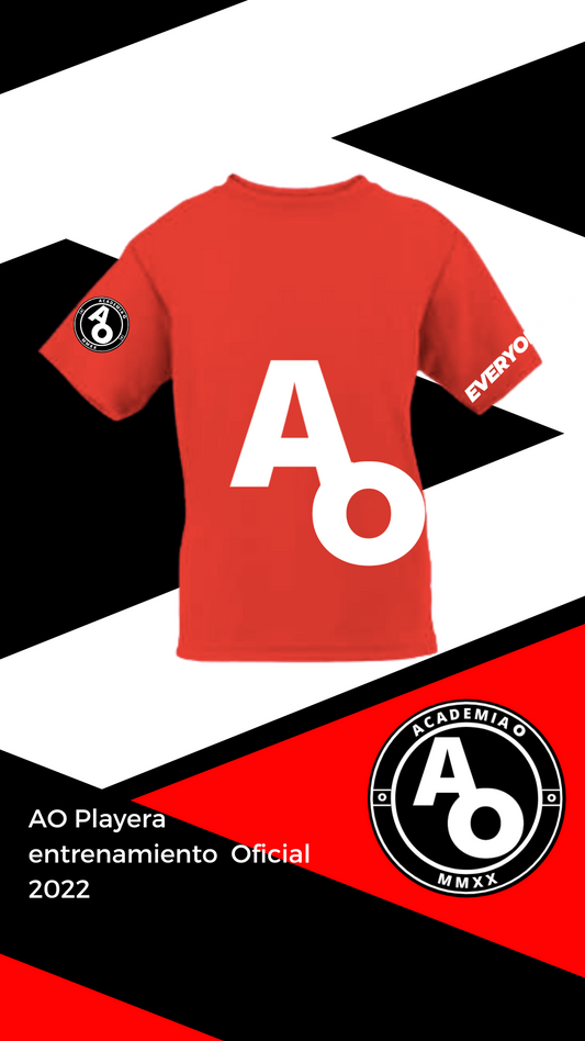 AO Playera Entrenamiento 2023